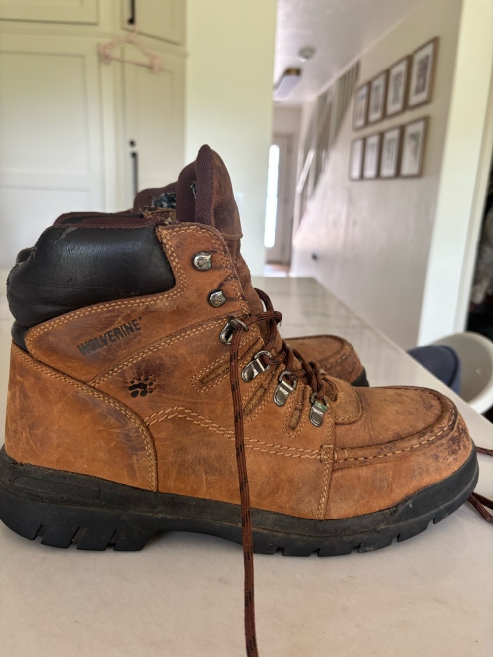 Wolverines Potomac Steel Toe Work Boots 11.5(e)